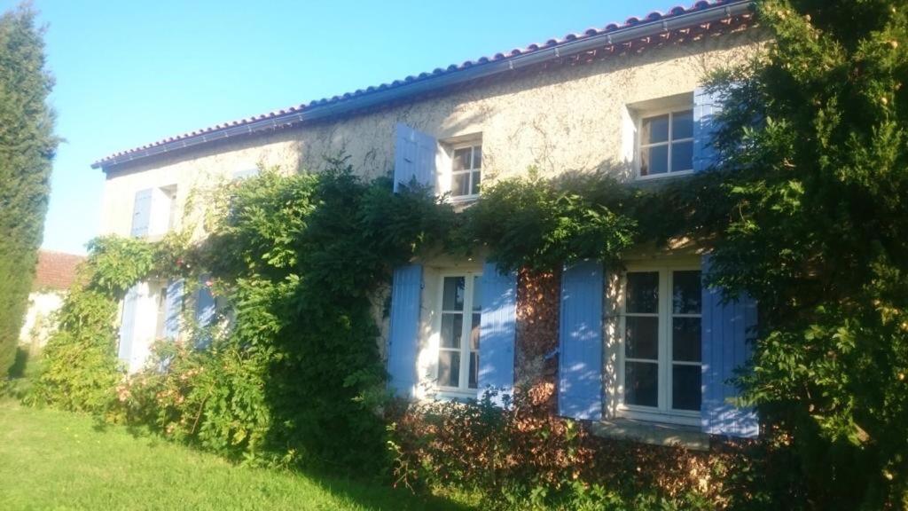 Jangadi * Reignac (Gironde)